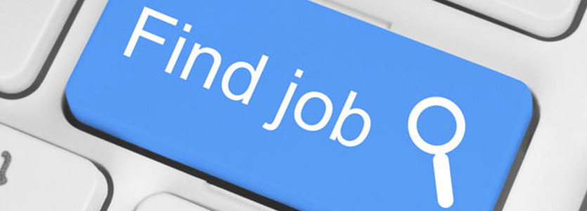 Job Search