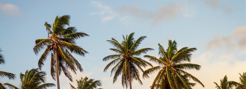 Top 10 things you miss on summer vacation